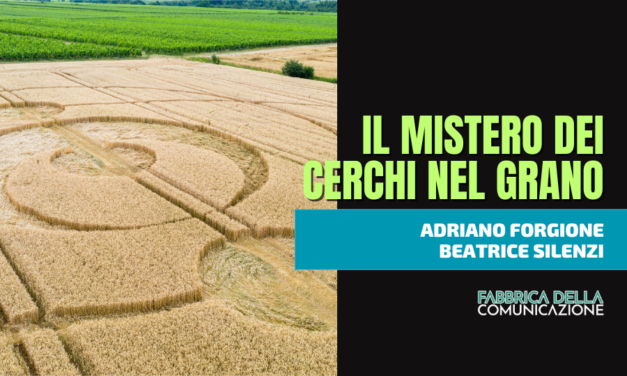 IL MISTERO DEI CERCHI NEL GRANO (CROP CIRCLES).