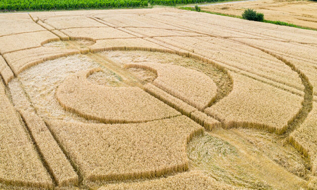 IL MISTERO DEI CERCHI NEL GRANO (CROP CIRCLES).