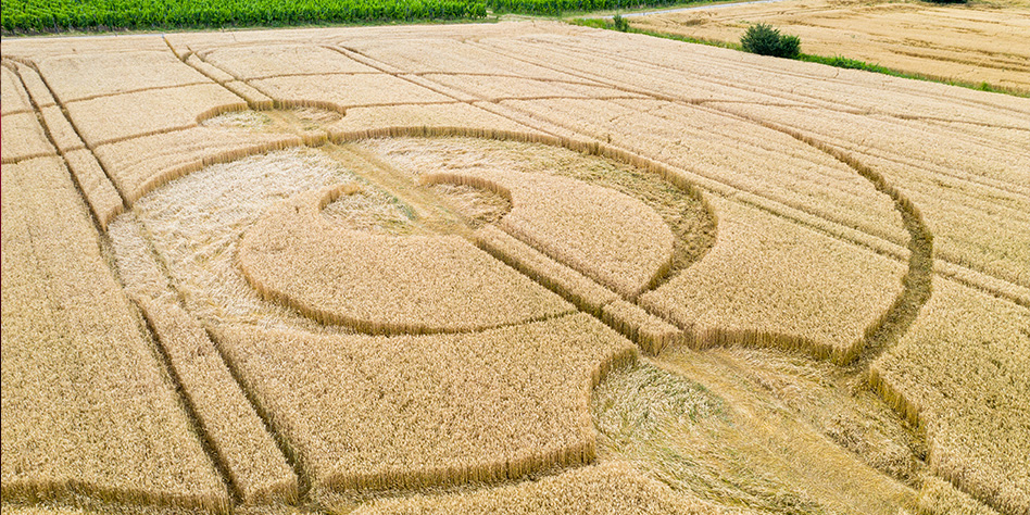 IL MISTERO DEI CERCHI NEL GRANO (CROP CIRCLES).