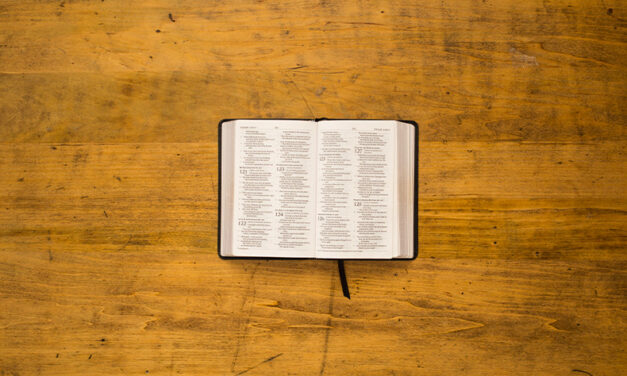 La Bibbia e le sue molteplici interpretazioni – MIKE PLATO
