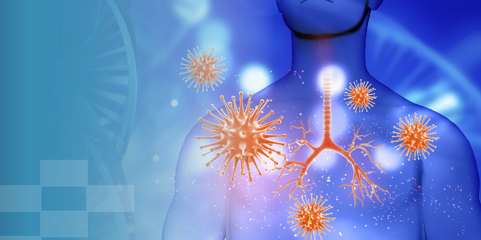 Sistema Immunitario e Linfociti T – MAURO MANTOVANI – Direttore IMBIO