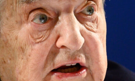 La Buona Informazione di Soros – ENRICA PERUCCHIETTI