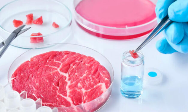 Cibi sintetici presto in tavola