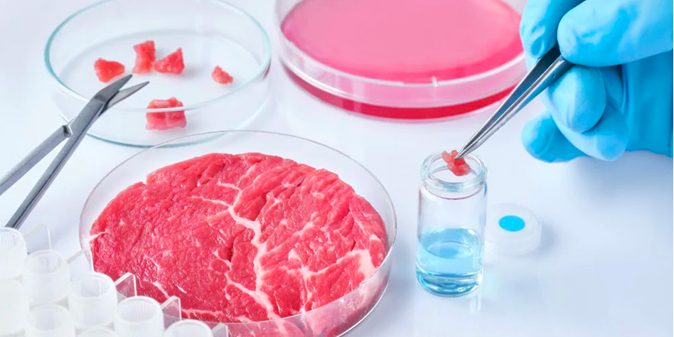Cibi sintetici presto in tavola