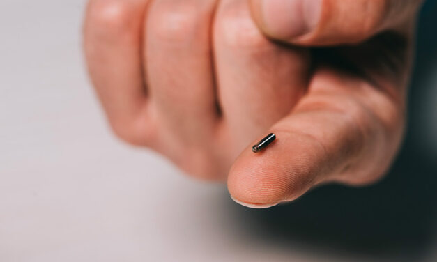 MICROCHIP E ROBOT SONO IL FUTURO!