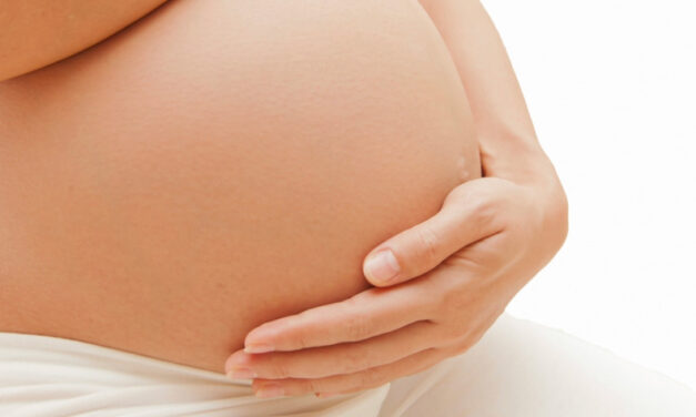 Annullata la fiera dell’utero in affitto