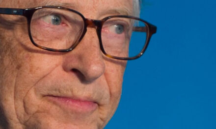 La Simulazione che ha “previsto” il Vaiolo delle scimmie