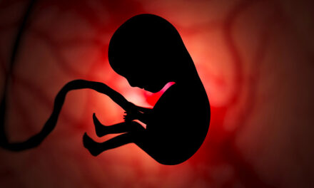 Embrioni umani come pezzi di ricambio