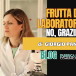 BLOG FRUTTA LAB