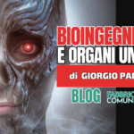 SITO BIOINGEGNERIA