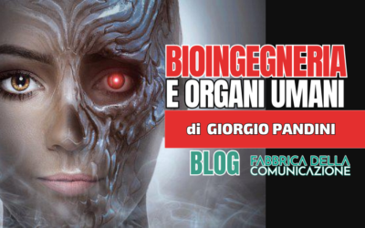 Bioingegneria e organi umani