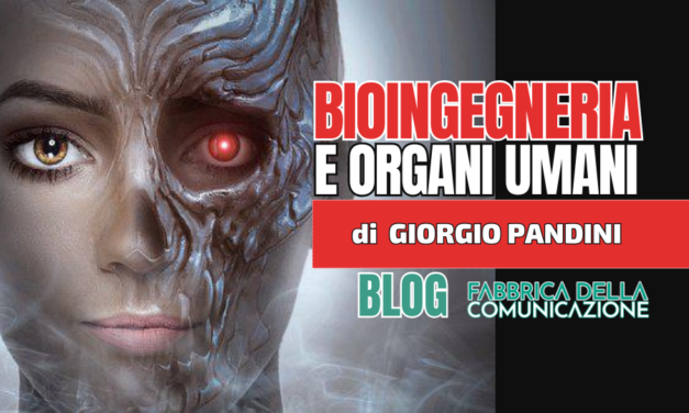 Bioingegneria e organi umani