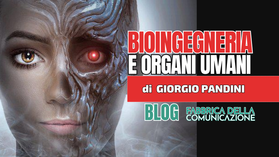 Bioingegneria e organi umani