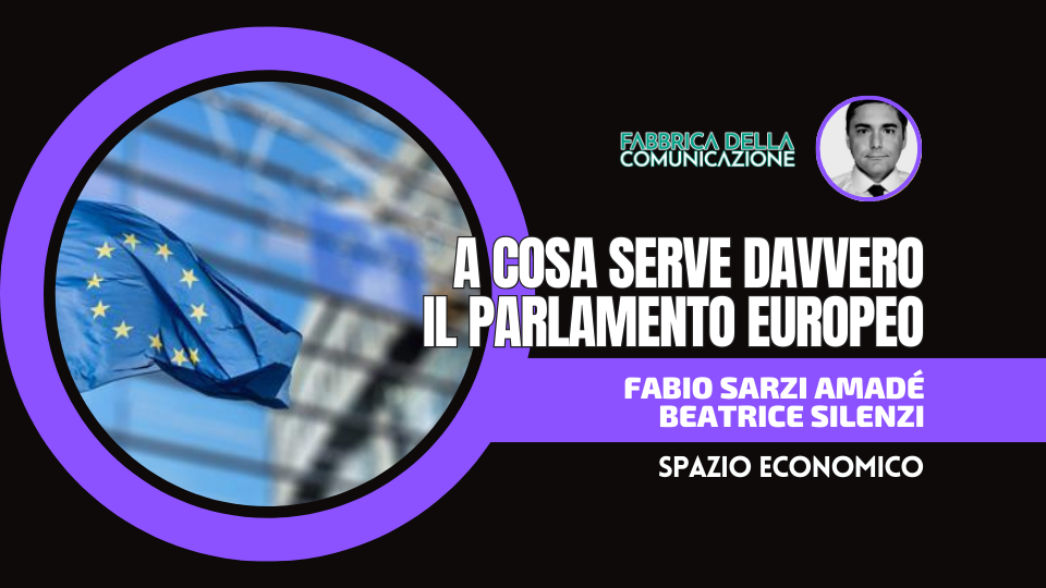 A COSA SERVE DAVVERO IL PARLAMENTO EUROPEO.