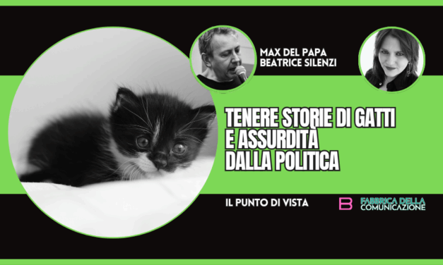 TENERE STORIE DI GATTI E ASSURDITÀ DALLA POLITICA
