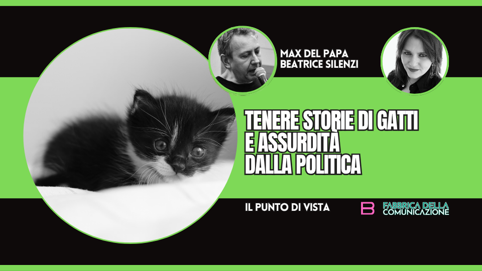 TENERE STORIE DI GATTI E ASSURDITÀ DALLA POLITICA